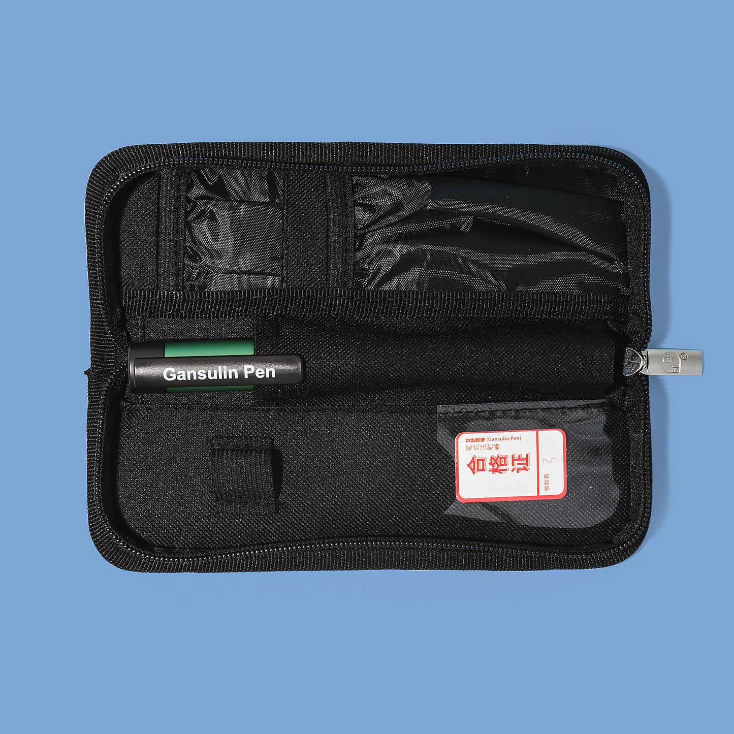 Gansulin Pen with Case